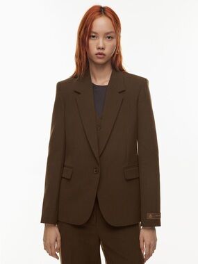 Aritzia babaton producer blazer